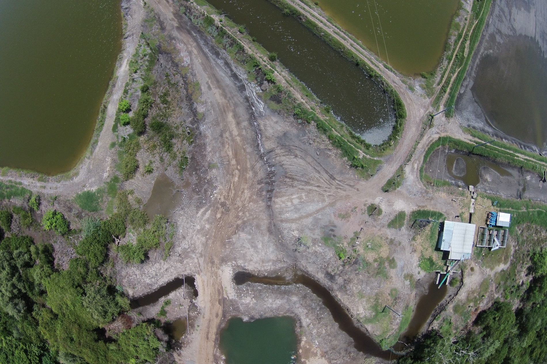 Shoreline Restoration